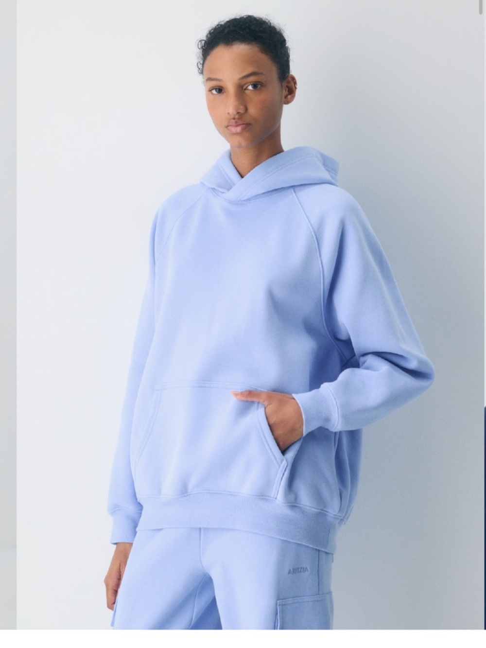 Aritzia TNA mega fleece hoodie